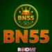 BN55 Game