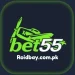 Bet55-icon