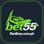 Bet55-icon